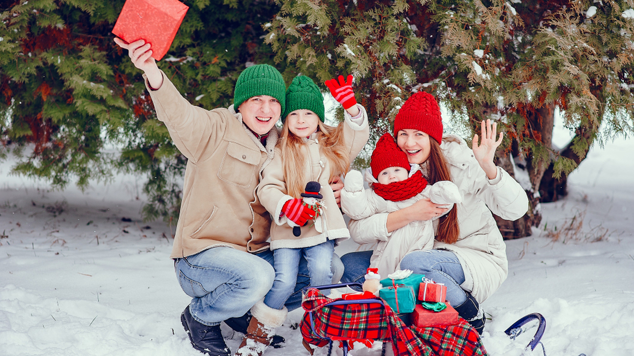Новогодние каникулы под защитой: депутат Госдумы выступил против их сокращения Вопрос о возможном сокращении новогодних канику...