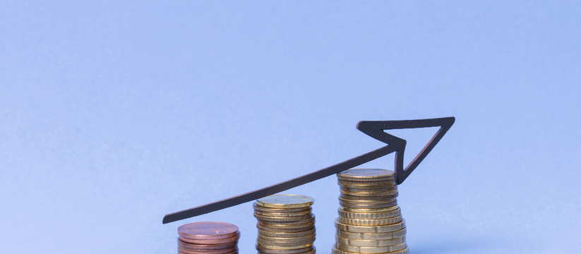 Путин: рост доходов граждан — ключевой приоритет экономической политики На заседании Совета по стратегическому развитию...